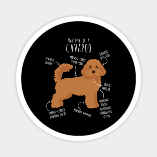 Cavapoo Dog Anatomy Magnet